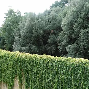 Un'angolo Incantato Firenze